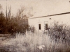 rbia-3